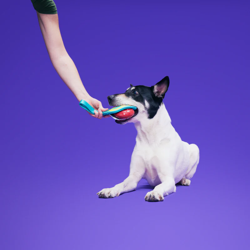 Spooky Scooby™ Name Tag - Image 4