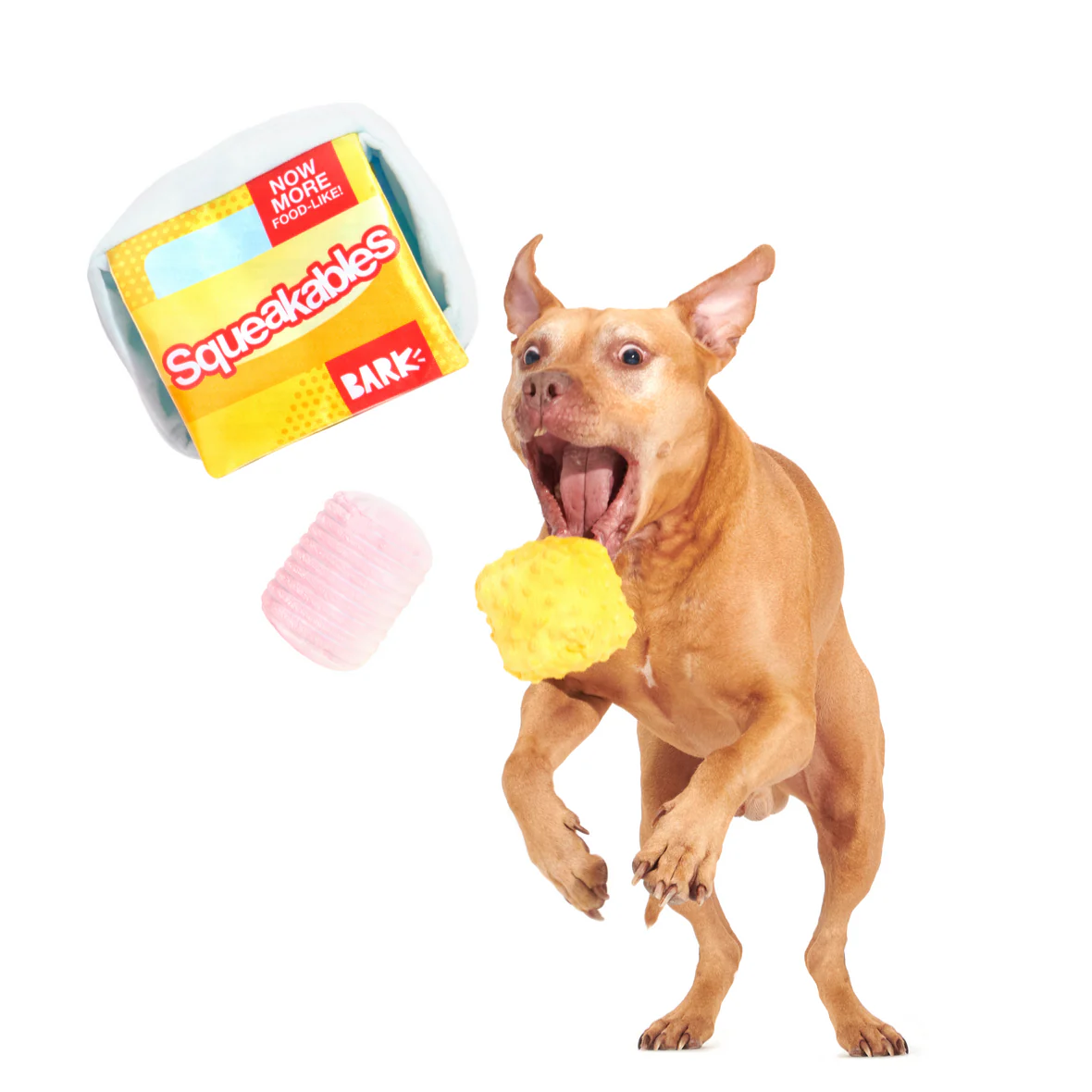 Squeakables Plush Multi-Part + Enrichment Dog Toy - Image 3