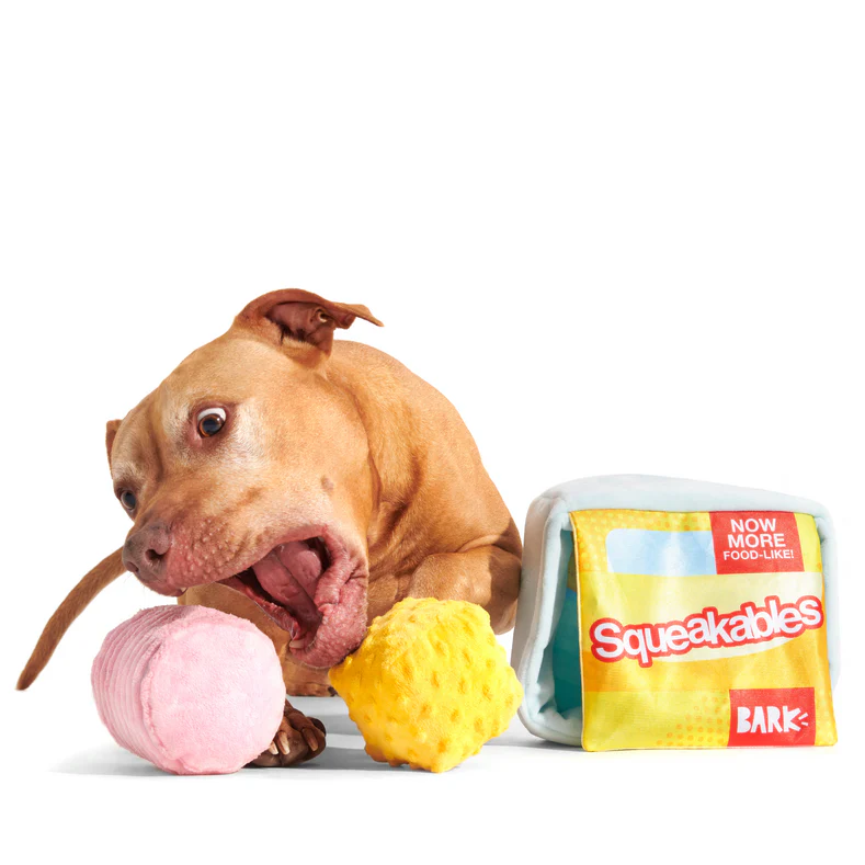 Squeakables Plush Multi-Part + Enrichment Dog Toy - Image 4