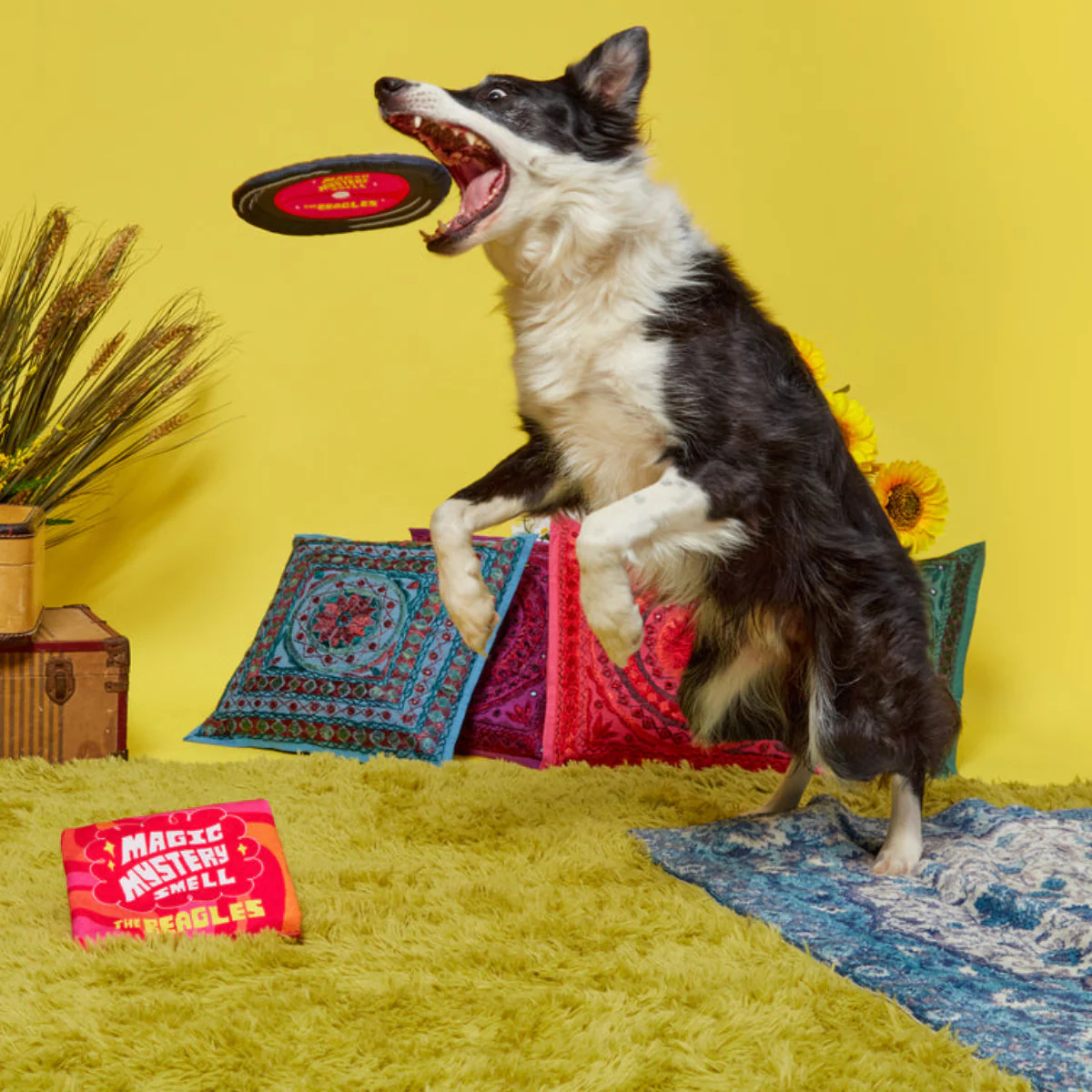 Squeakadelic Tunes Plush Multi-Part Dog Toy - Image 4