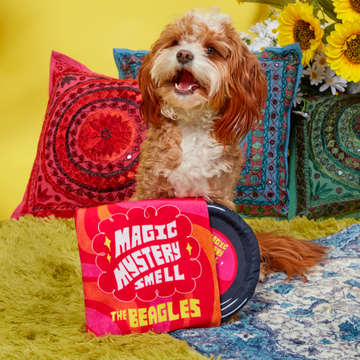 Squeakadelic Tunes Plush Multi-Part Dog Toy - Image 5