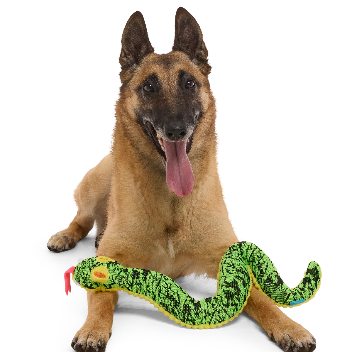 Sssssssssteve Plush Tug + Extra-Large Dog Toy - Image 3