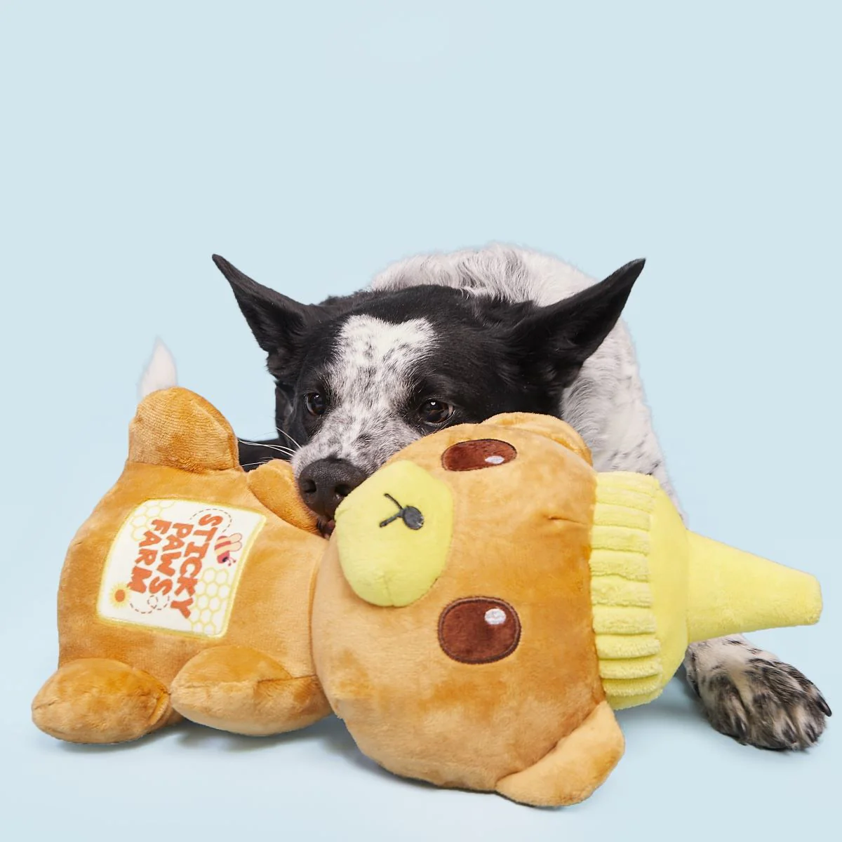 Sticky Paws Honey Bear Plush Extra-Large Dog Toy - Image 3