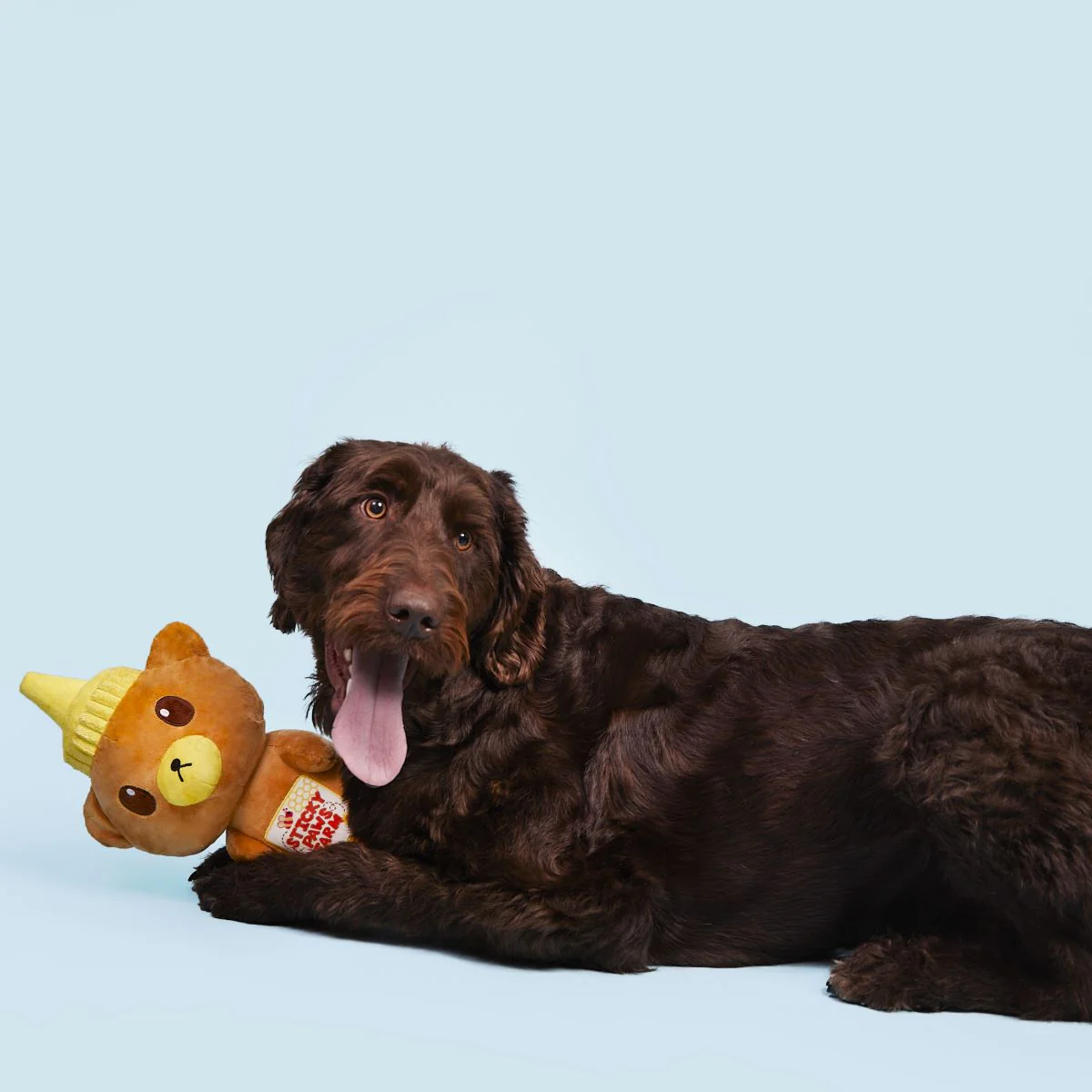 Sticky Paws Honey Bear Plush Extra-Large Dog Toy - Image 4