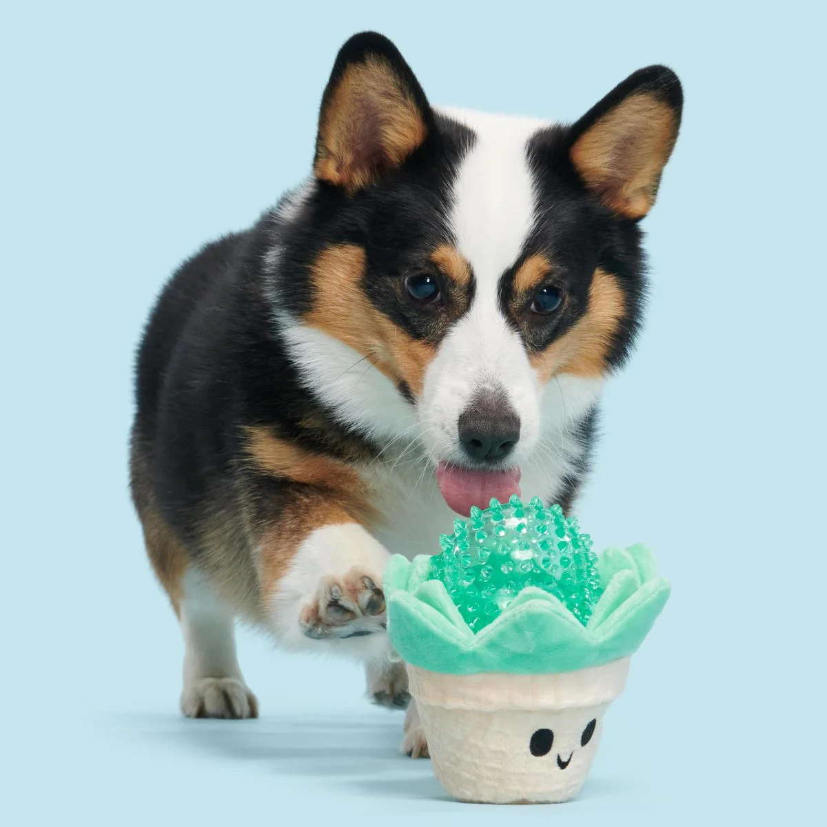 Suki Succulent Plush Multi-Part + Fetch Dog Toy - Image 3