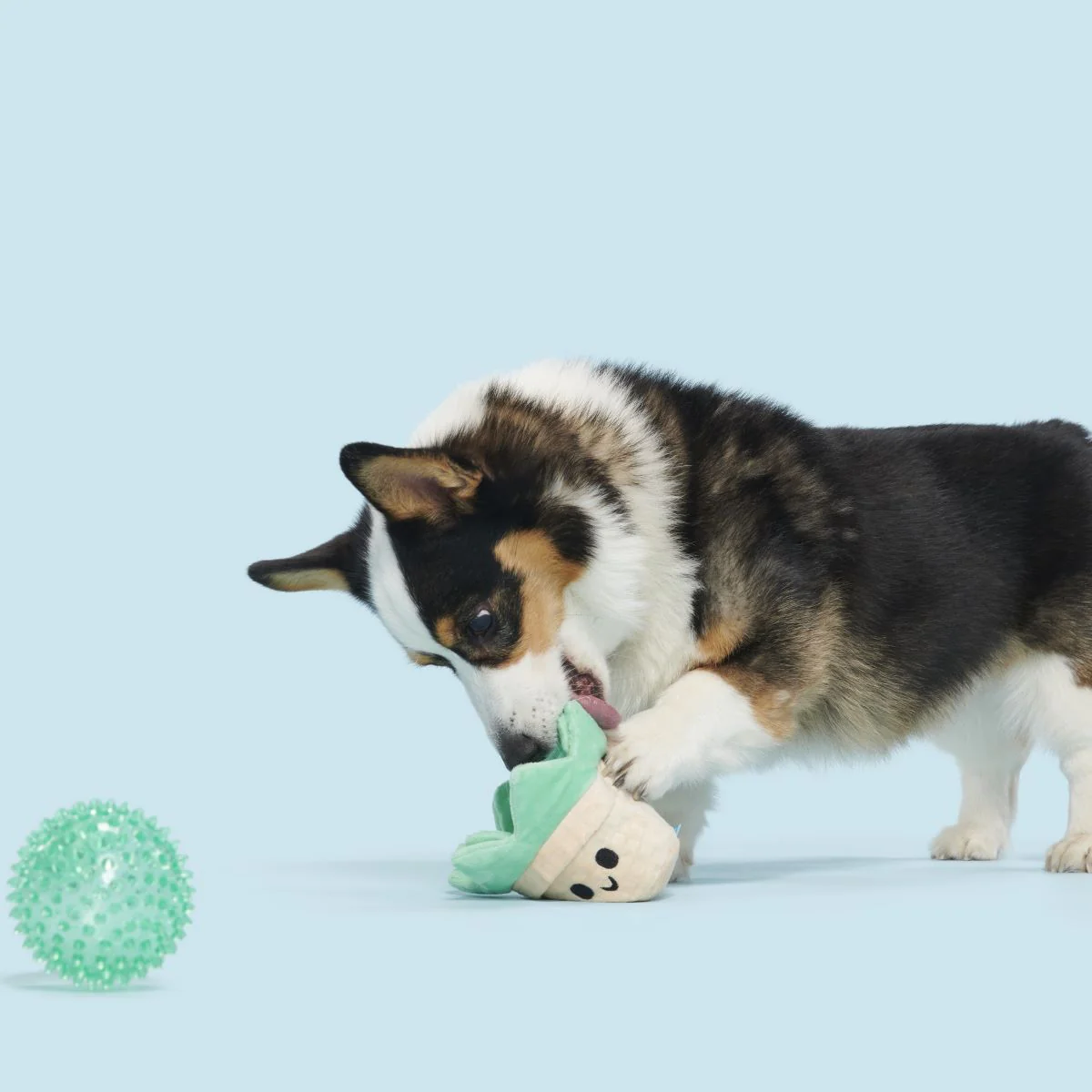 Suki Succulent Plush Multi-Part + Fetch Dog Toy - Image 4