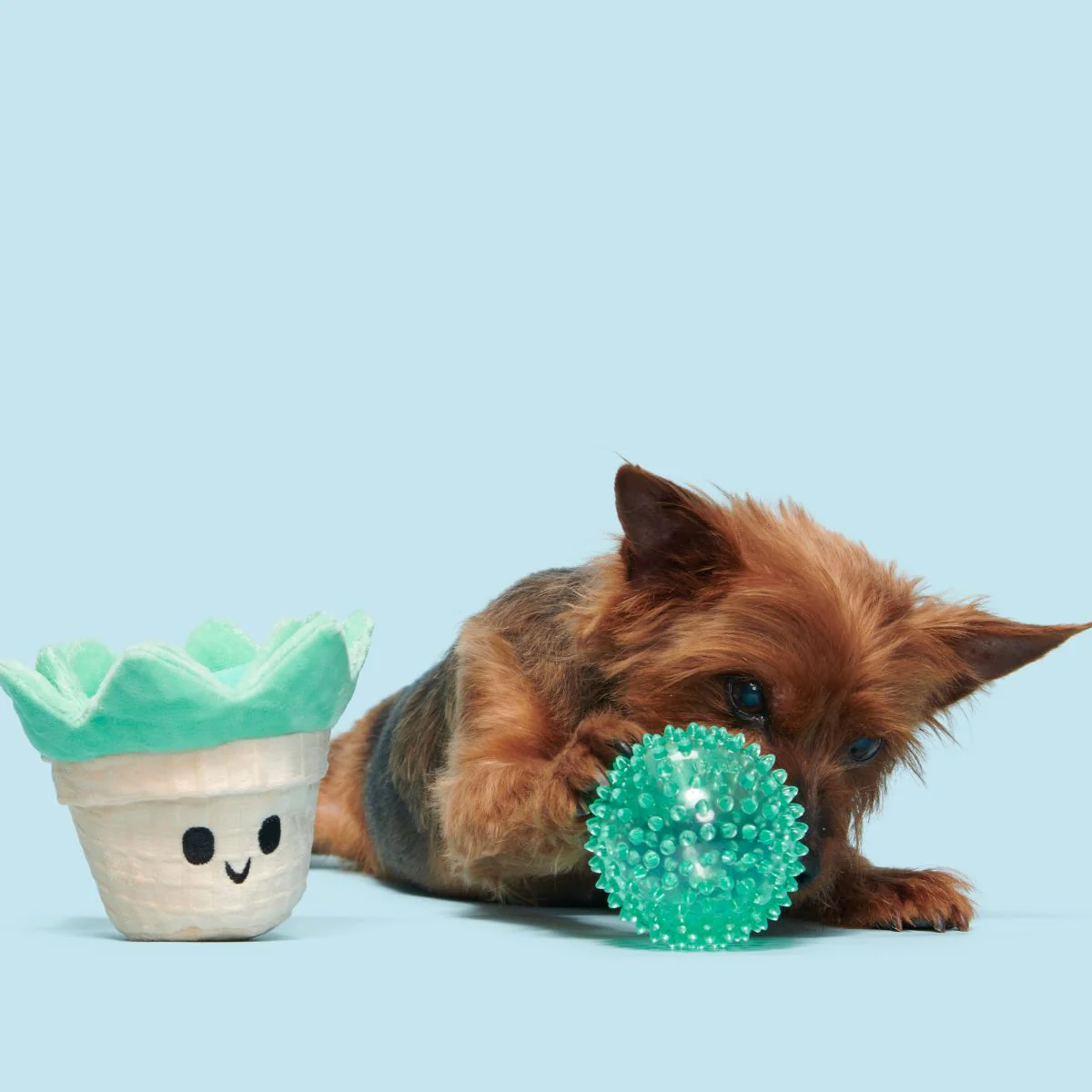 Suki Succulent Plush Multi-Part + Fetch Dog Toy - Image 5