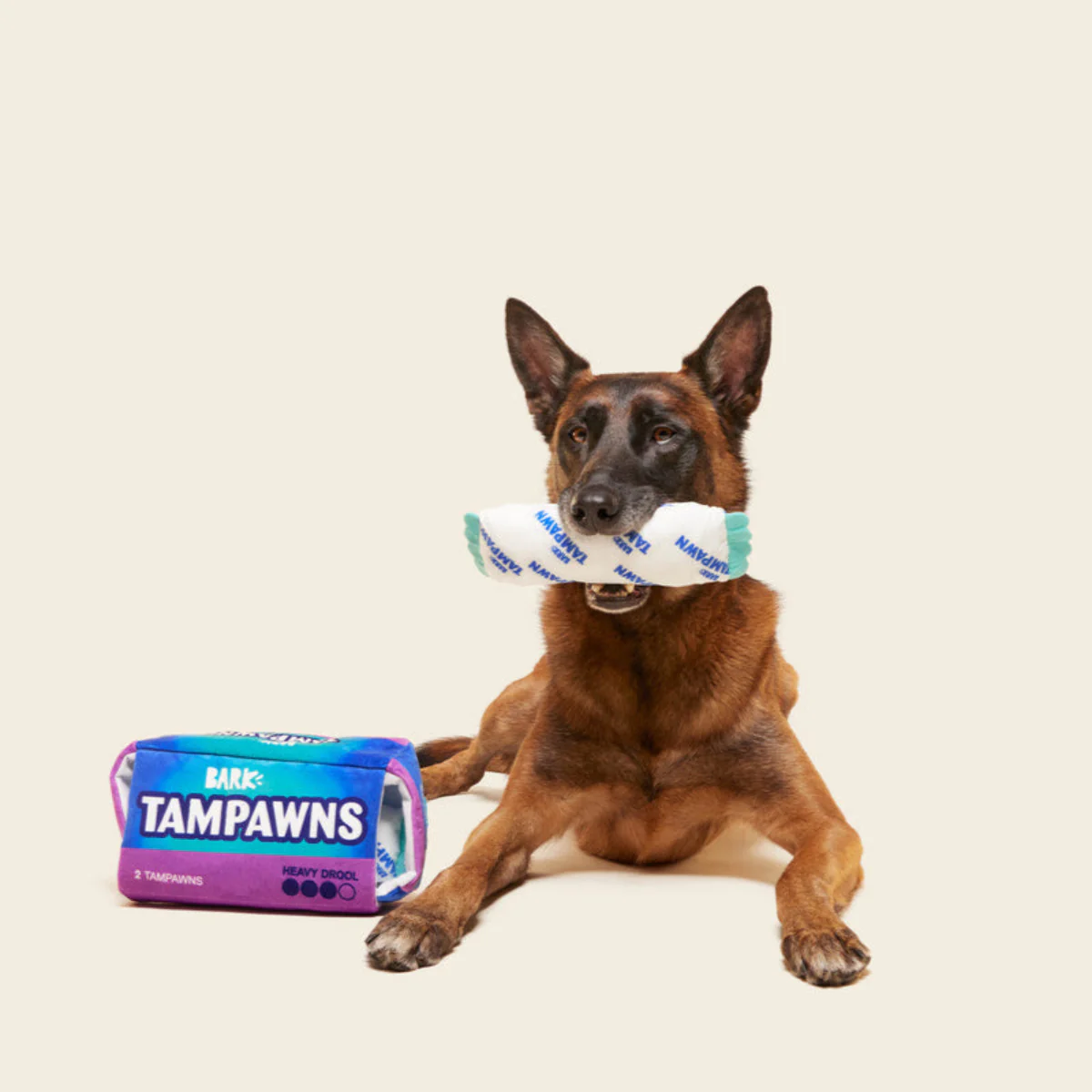 Tampawns Plush Multi-Part + Enrichment Dog Toy - Image 6