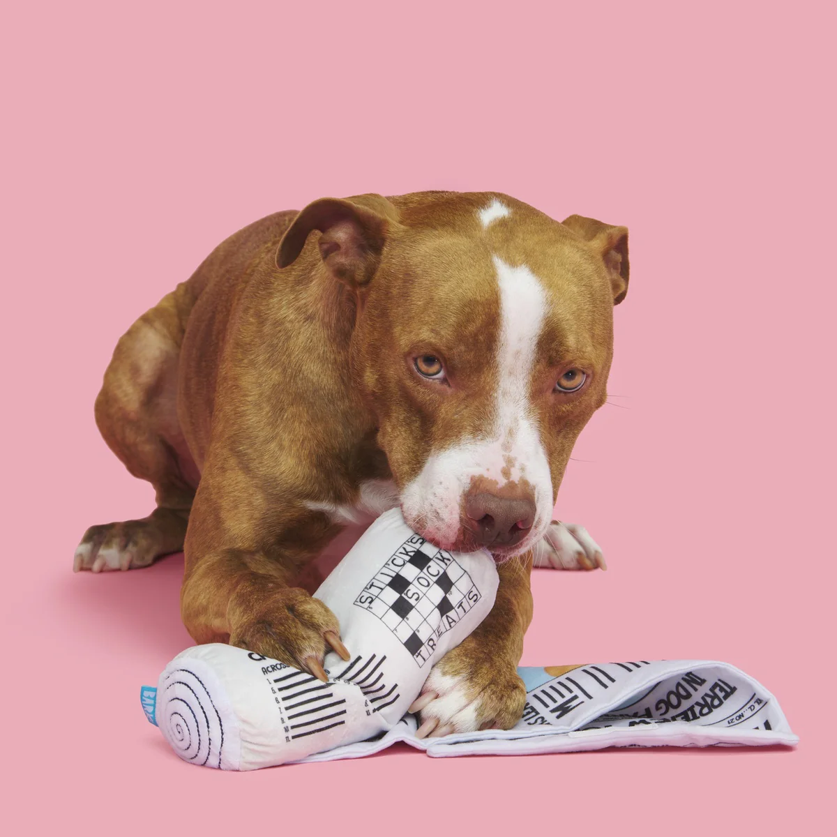 The Chew York Times Plush Tug + Enrichment Dog Toy - Image 3