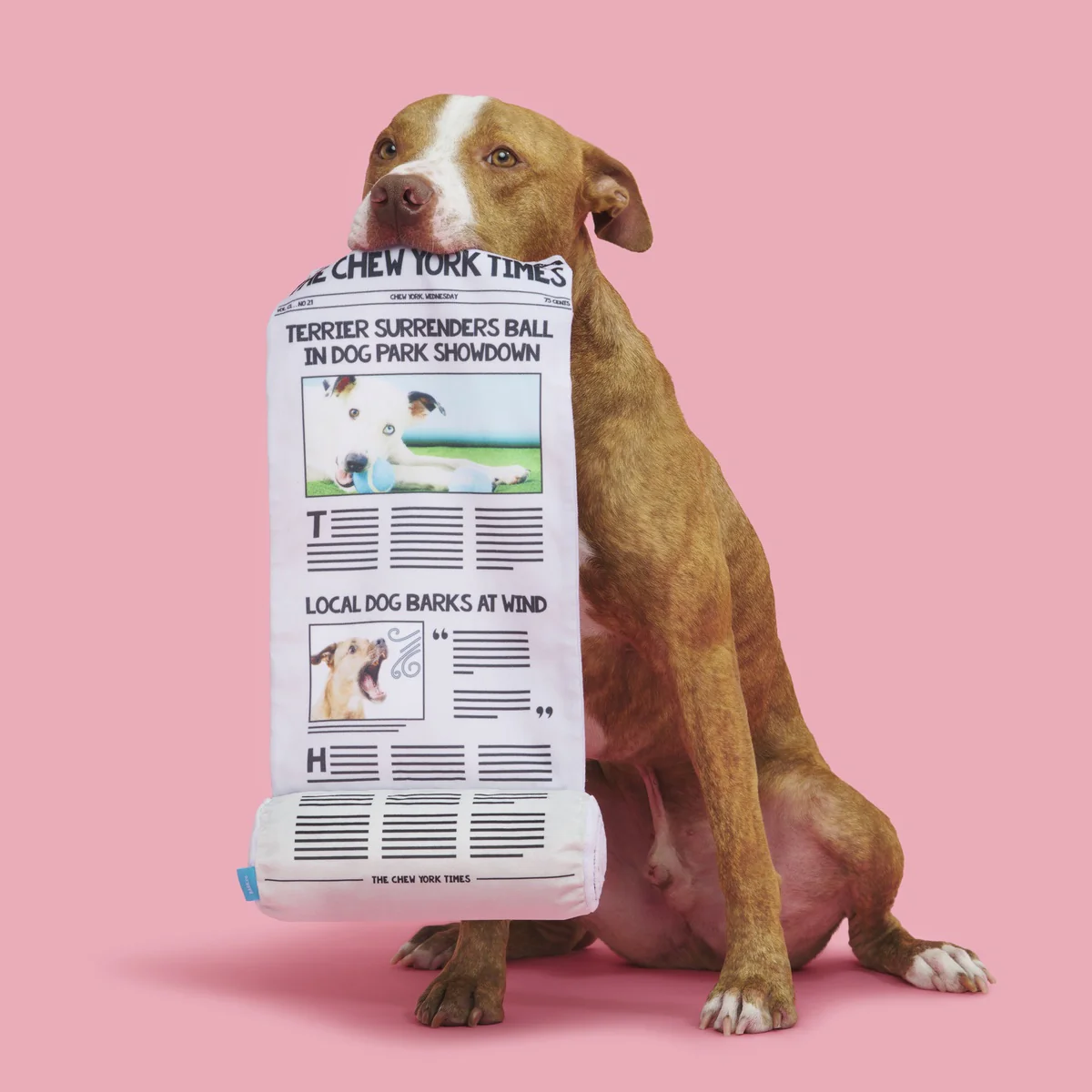 The Chew York Times Plush Tug + Enrichment Dog Toy - Image 4