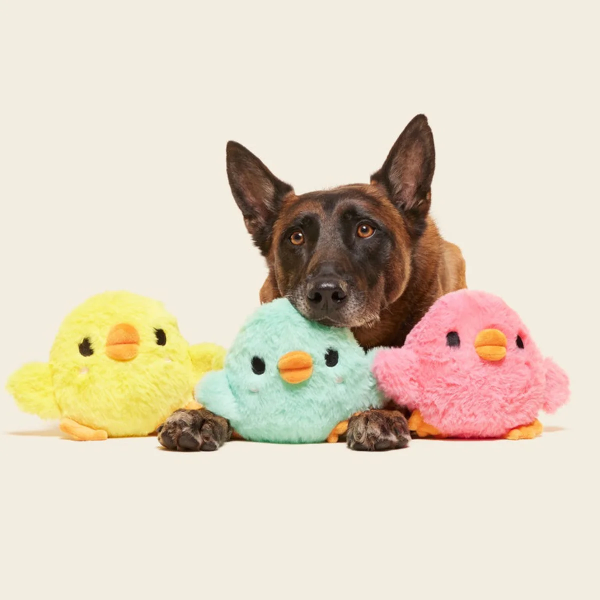 The Licksy Chicks Plush Multi-Part + Fetch Dog Toy - Image 3