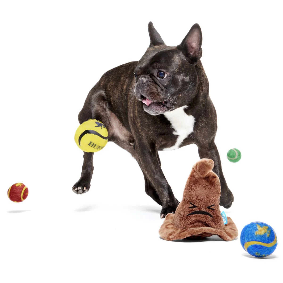 The Sorting Hat™ Plush 2-in-1 Rip and Reveal + Fetch Dog Toy - Image 6