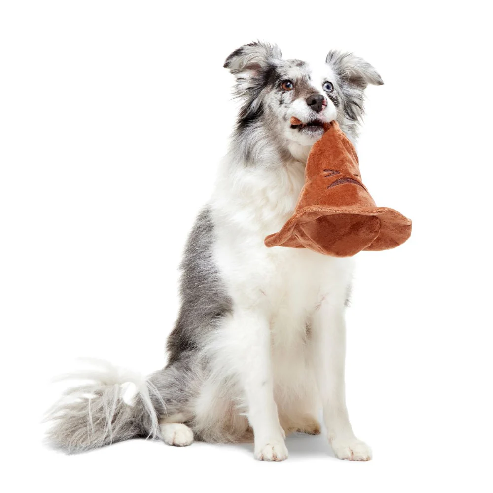 The Sorting Hat™ Plush 2-in-1 Rip and Reveal + Fetch Dog Toy - Image 7