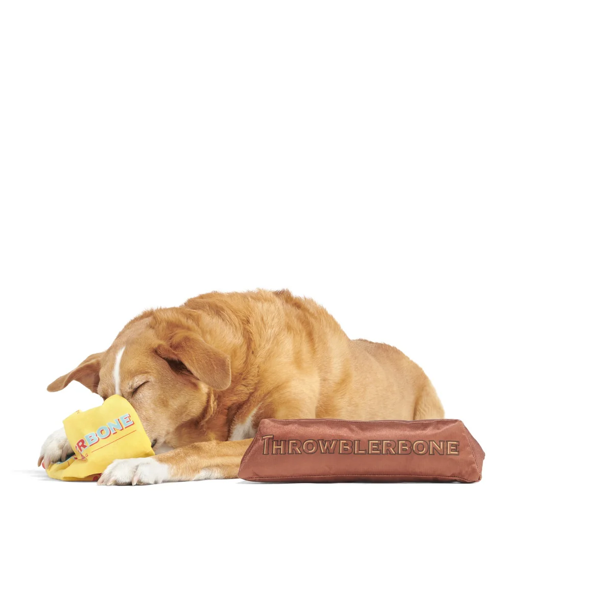 ThrowblerBone Plush Extra-Large Multi-Part + Enrichment Dog Toy - Image 5