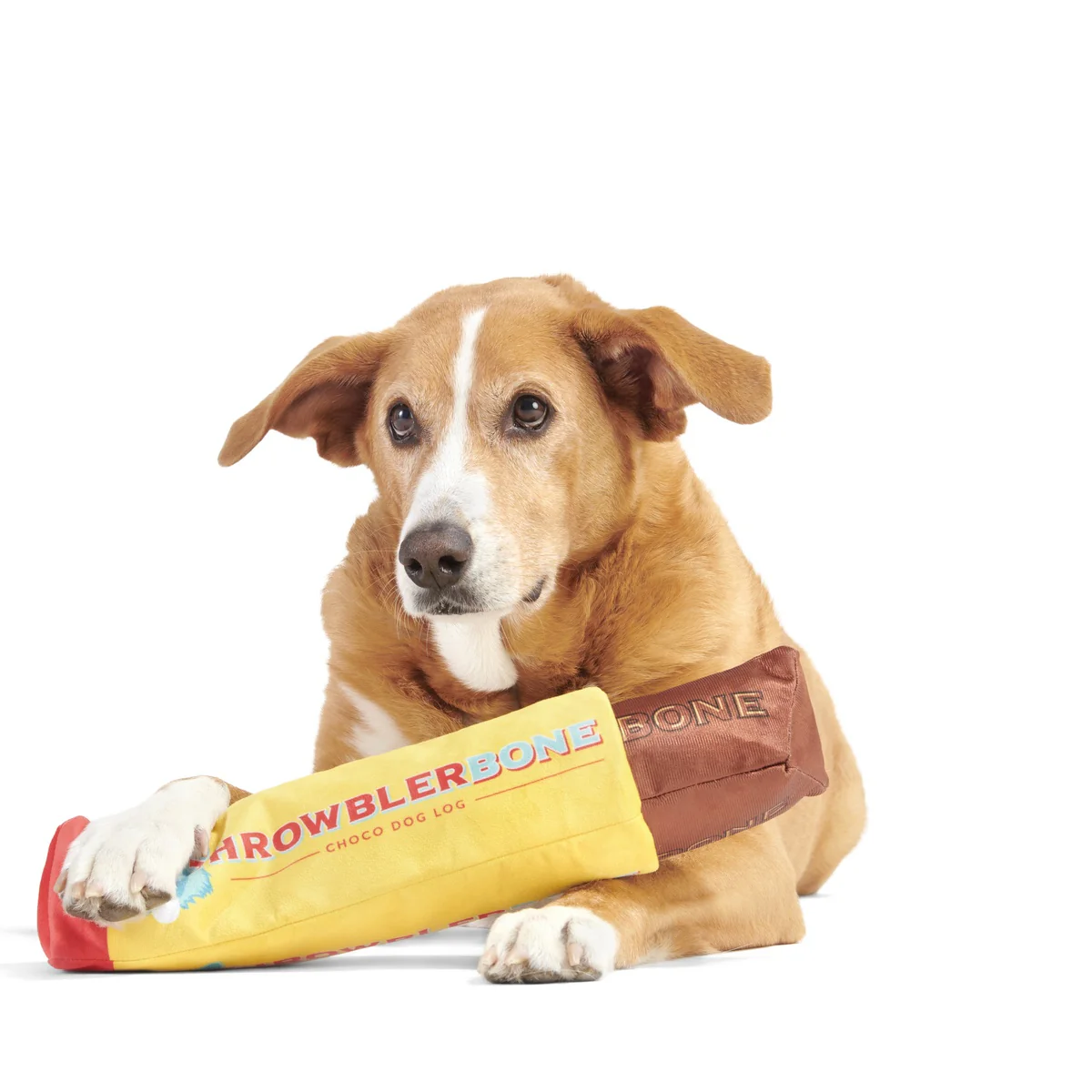 ThrowblerBone Plush Extra-Large Multi-Part + Enrichment Dog Toy - Image 6