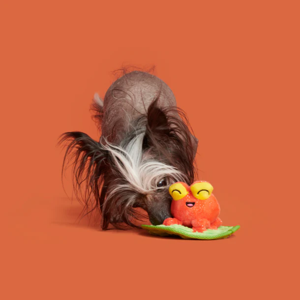 Tiana Tomato Frog Plush Tug Dog Toy - Image 5