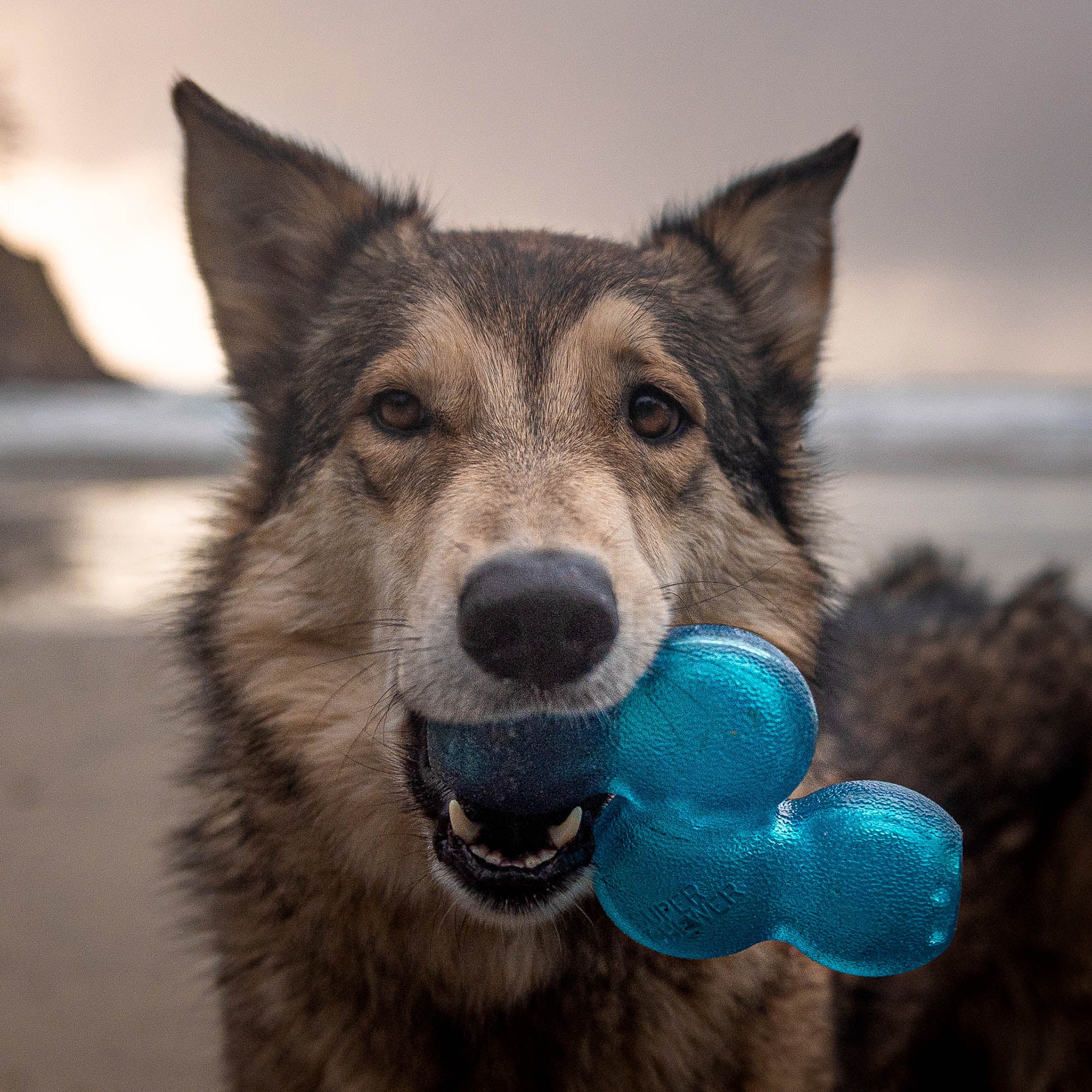 Treat Giver River Durable Super Chewer Enrichment Dog Toy - Image 4