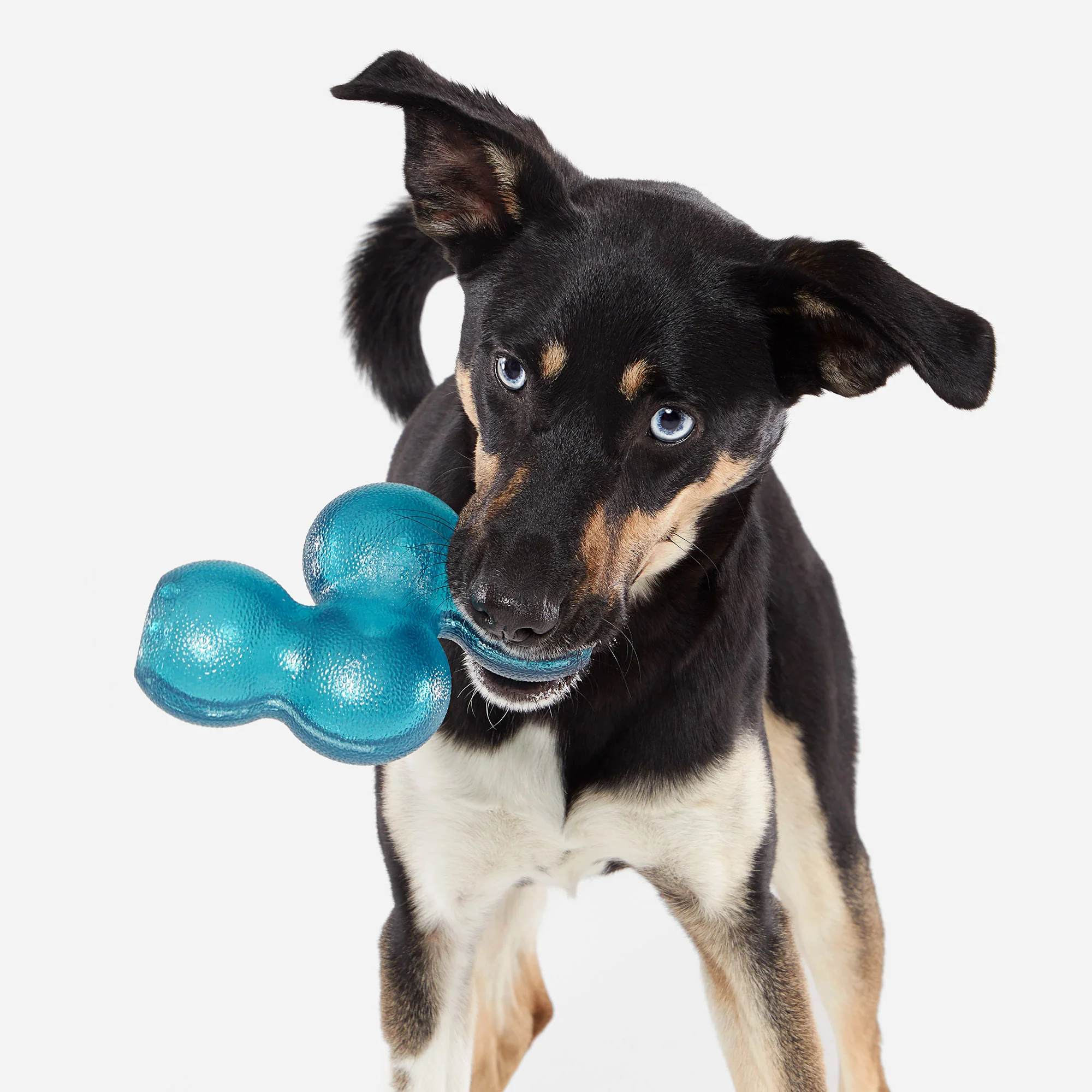 Treat Giver River Durable Super Chewer Enrichment Dog Toy - Image 5