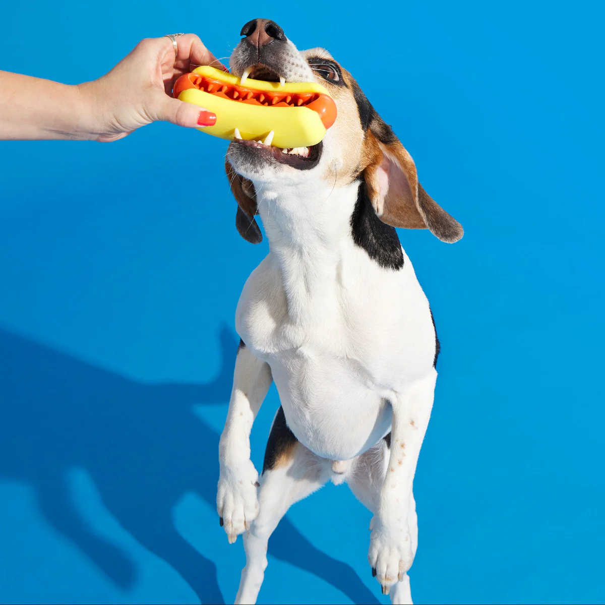 Treat Meat Hot Dog Durable Super Chewer Dog Toy - Image 3