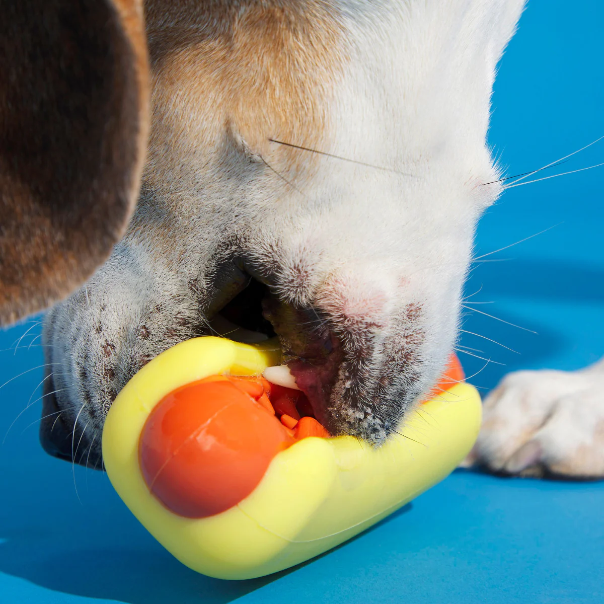 Treat Meat Hot Dog Durable Super Chewer Dog Toy - Image 4
