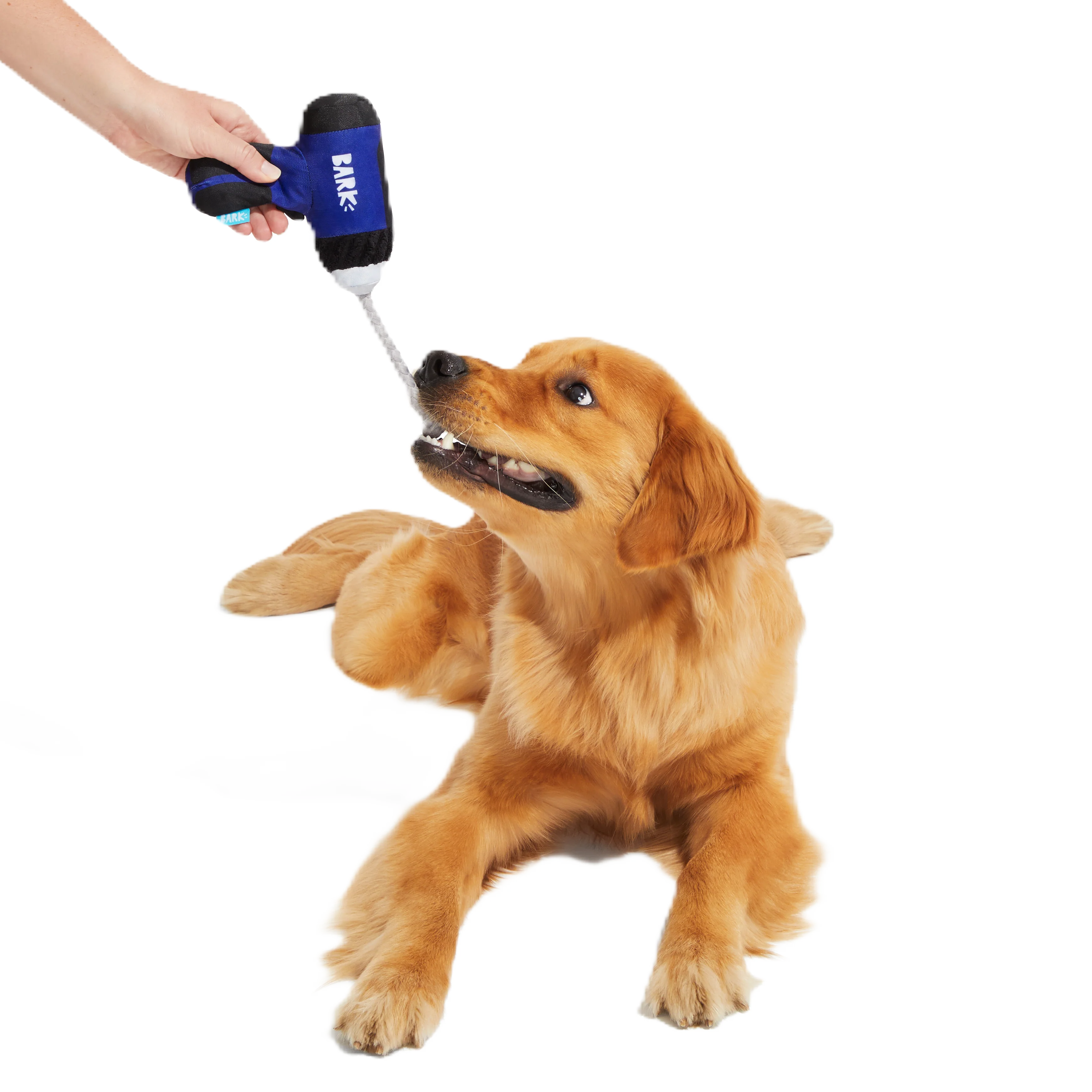 Tuggin’ Impact Drooler Plush Tug Dog Toy - Image 3