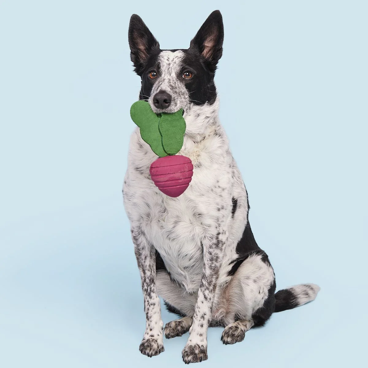 Turnt Up Turnip Super Chewer Durable Tug Dog Toy - Image 3