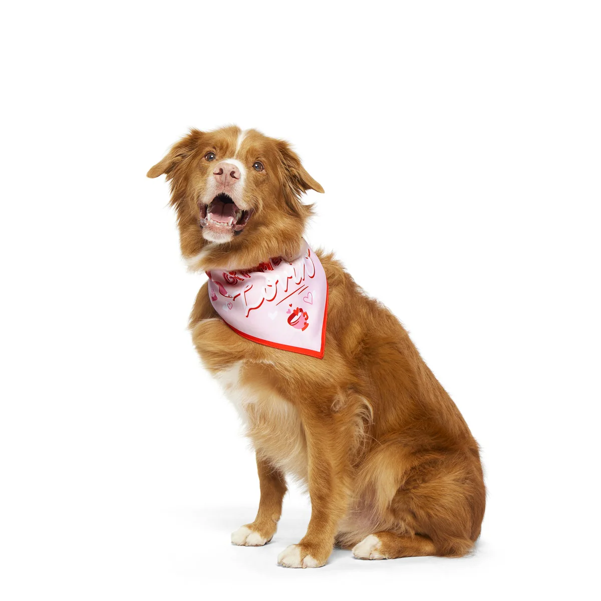Valentine's Day Dog Bandana - Image 4
