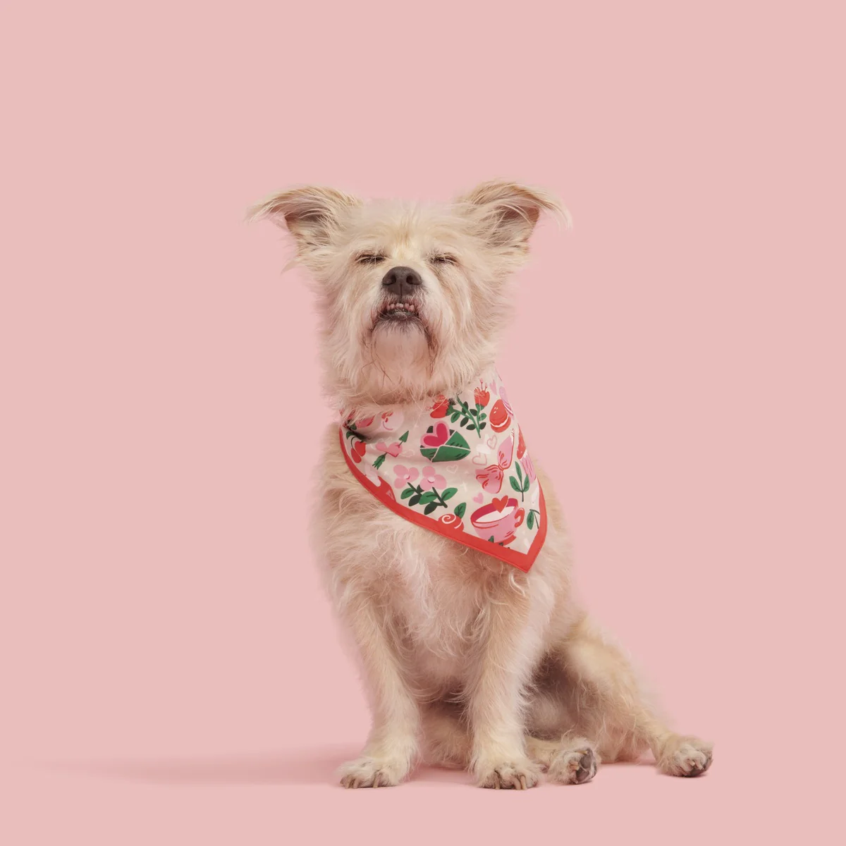 Valentine's Day Dog Bandana - Image 5
