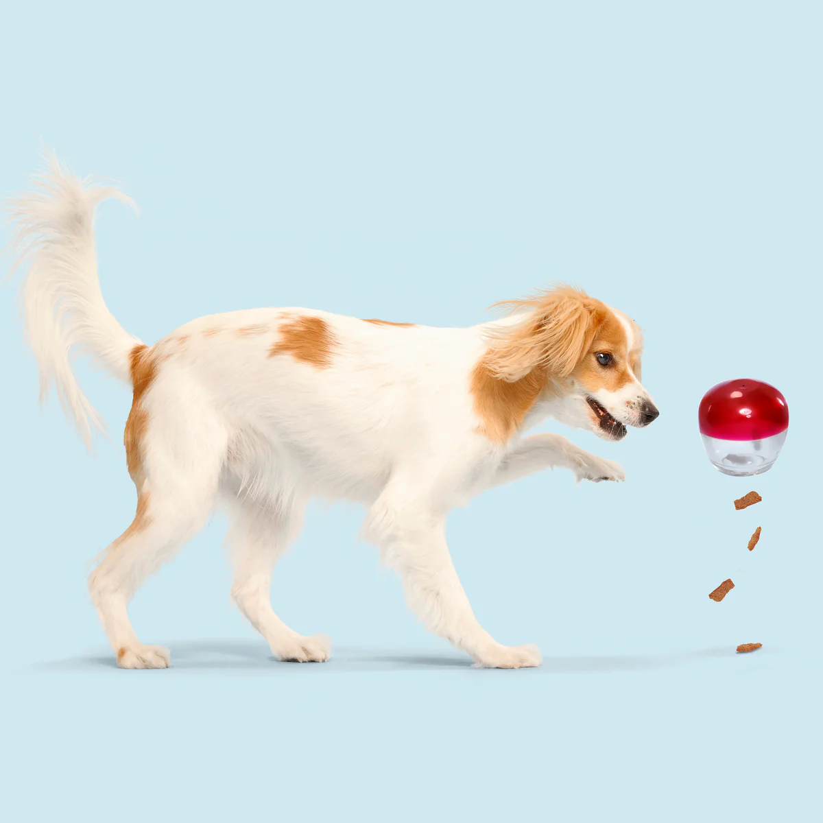 Vino Vidi Vici Durable Super Chewer Dog Toy - Image 3