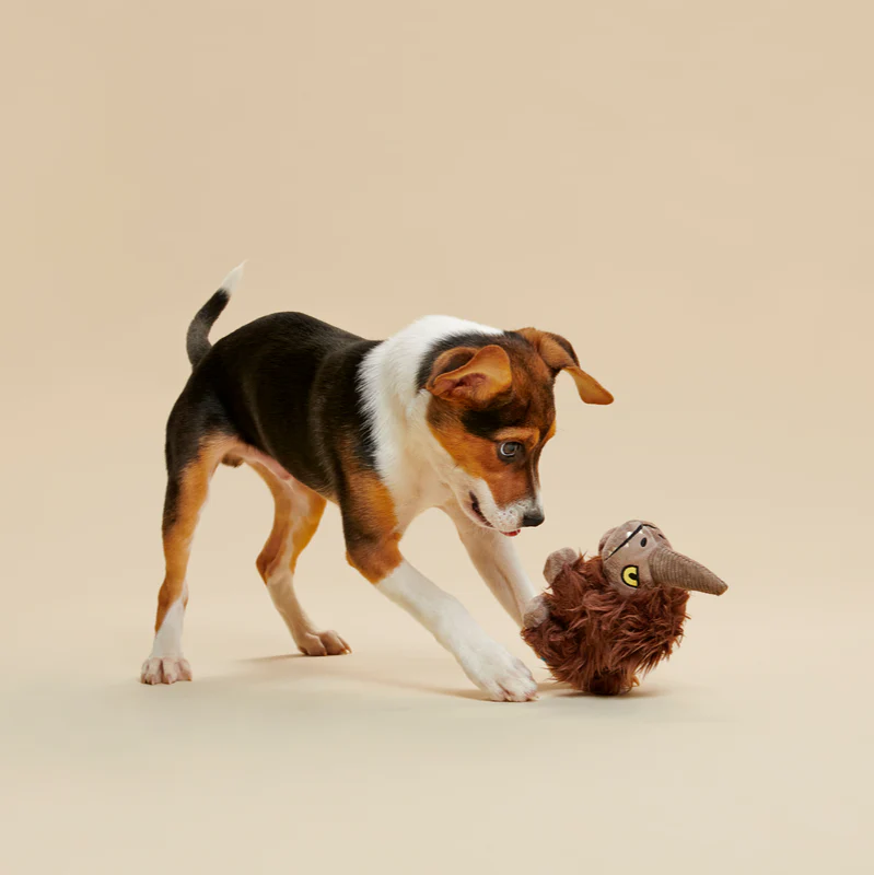 Wooly Bully Mudhorn⢠- Image 6