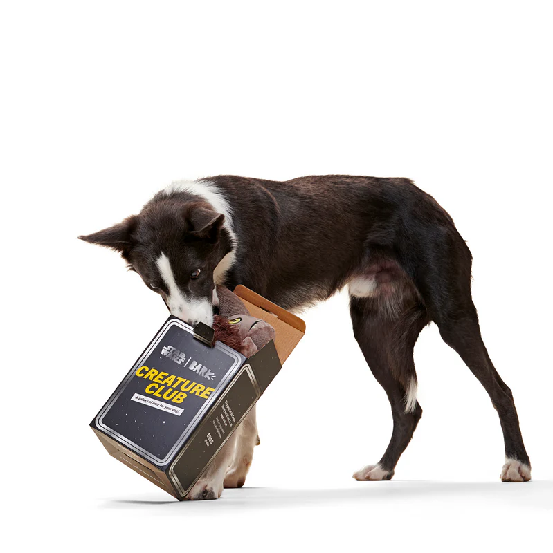 Wooly Bully Mudhorn⢠- Image 7