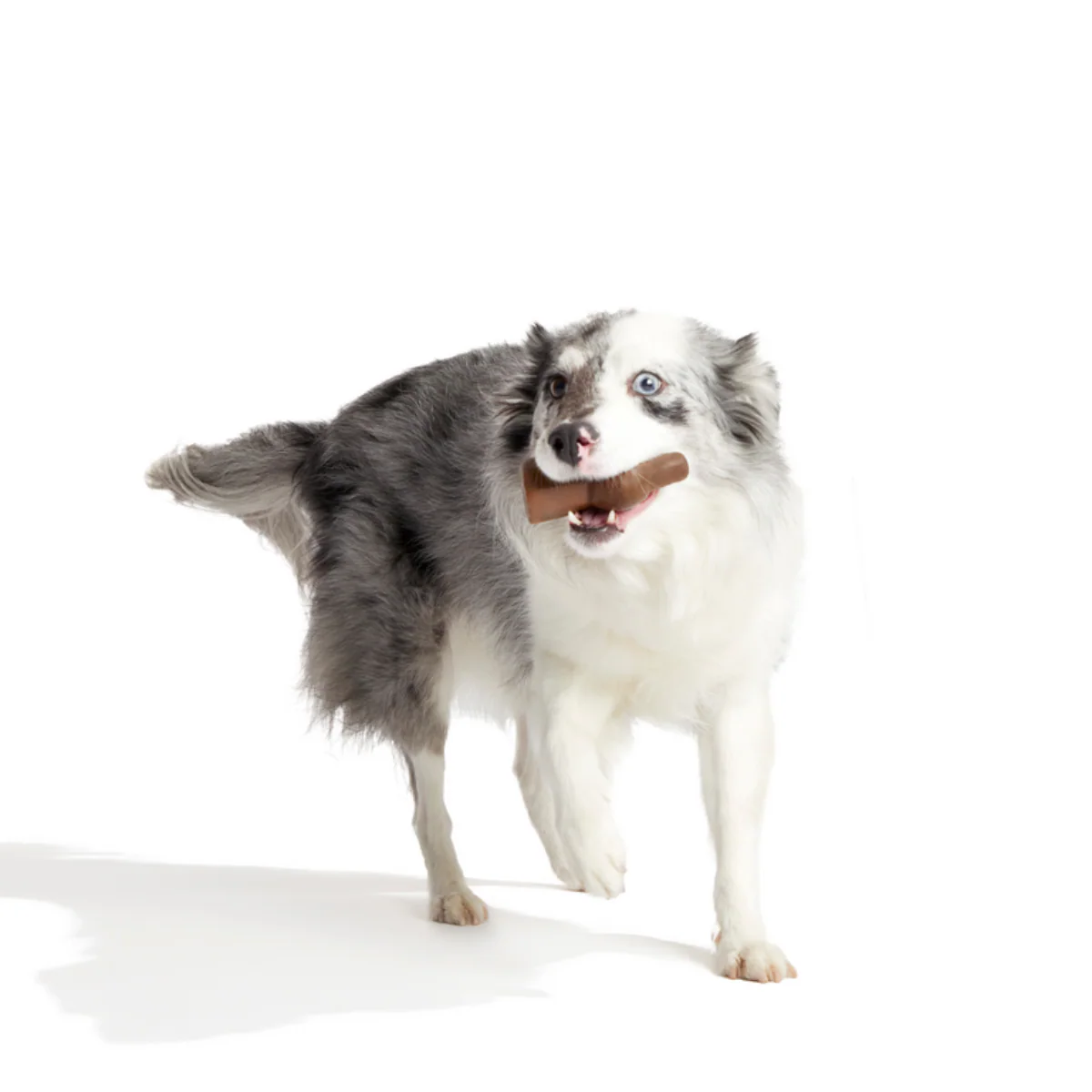 Yummy Bunny Durable Super Chewer Gnaw Dog Toy - Image 3